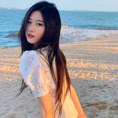 狮子狗行动